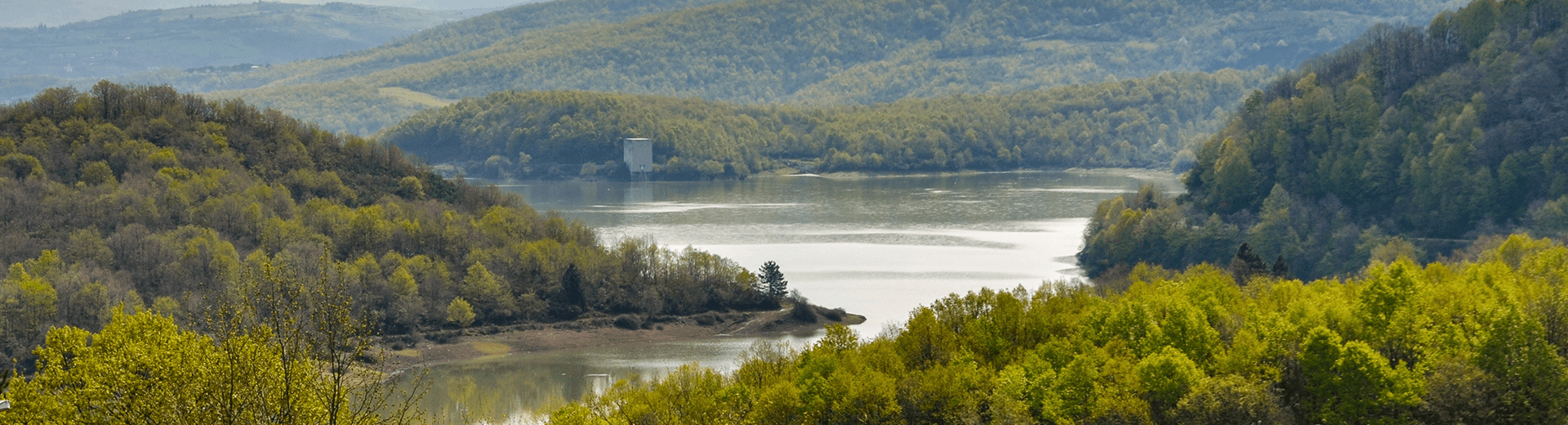 Yalova Araç Kiralama